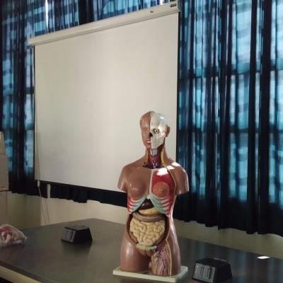 Unidad Académica Profesional Tianguistenco 4