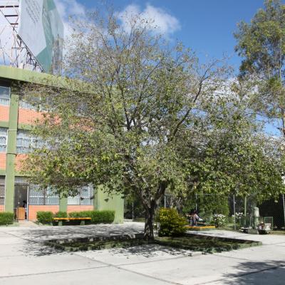 Centro Universitario UAEM Ecatepec 7