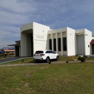 Centro Universitario UAEM Amecameca 7
