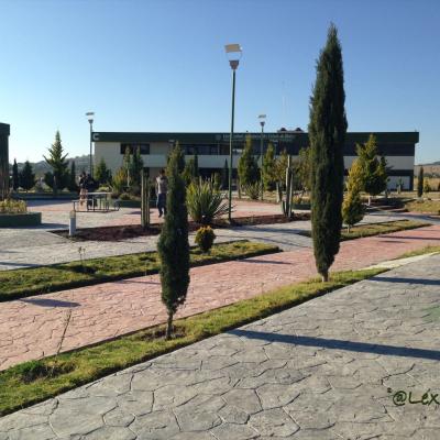 Centro Universitario UAEM Valle de Teotihuacán 6