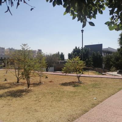 Centro Universitario UAEM Nezahualcóyotl 5