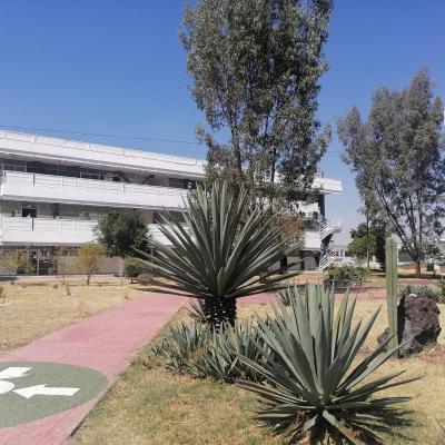 Centro Universitario UAEM Nezahualcóyotl 4