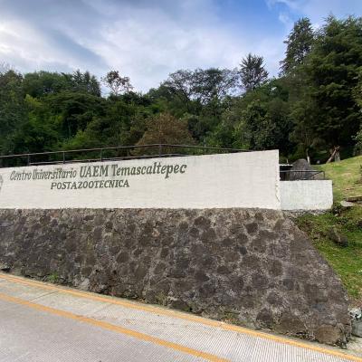 CU  UAEM Temascaltepec