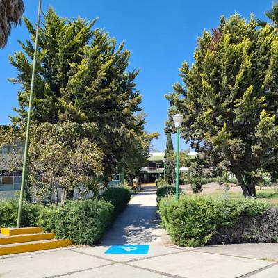 Centro Universitario UAEM Texcoco 7