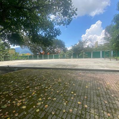 Unidad Académica Profesional Tejupilco 8