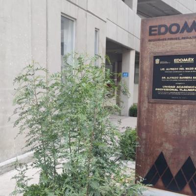Unidad Académica Profesional Tlanepantla 6